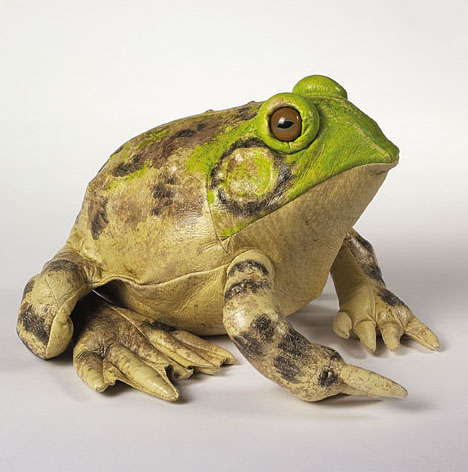 Little Molly's Bullfrog