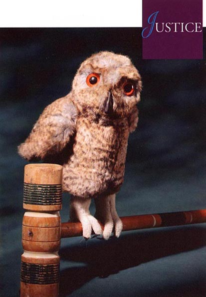 Little Owl Athena