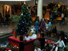 holiday_5.jpg (53284 bytes)